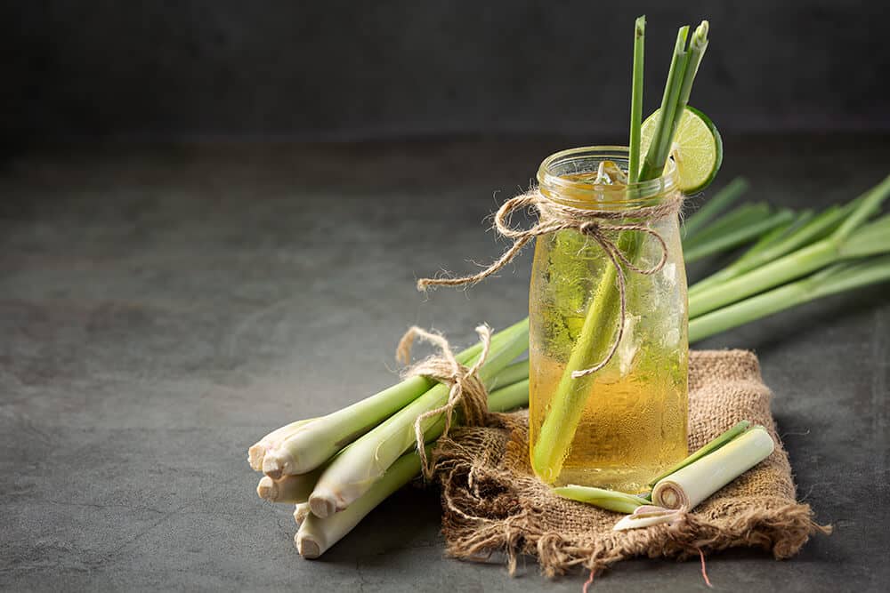 Understanding the Key Ingredients in Thai Curry Paste
