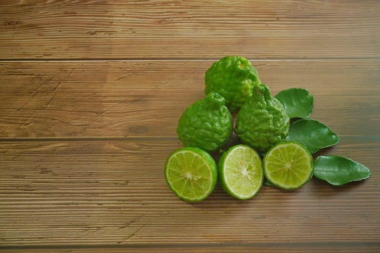 Learn About Kaffir Lime And How It’s Used In Thai Curry | Nittaya Thai ...